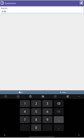 Tentativa de inserção de um segundo separador decimal não aceita